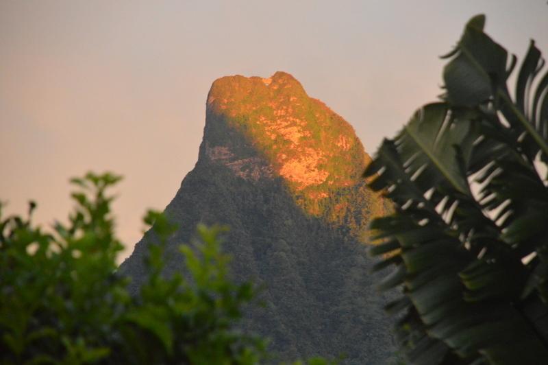 Te Fare Hinahei Appartement Moorea Buitenkant foto